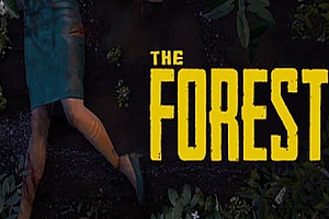 迷失森林/森林/The Forest 单机/网络联机